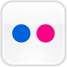 follow us on flickr