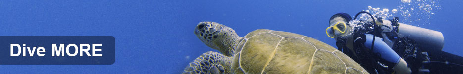 Take more dive courses