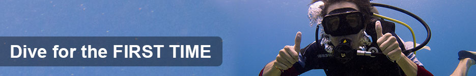 Dive for the First time - Discover Scuba Diving