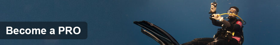 Become a Pro - Divemaster