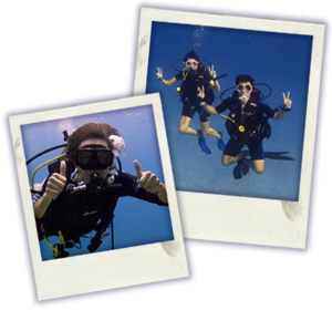 Photo and Video courses