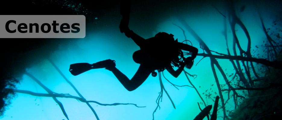 diving cenotes with deep deep down
