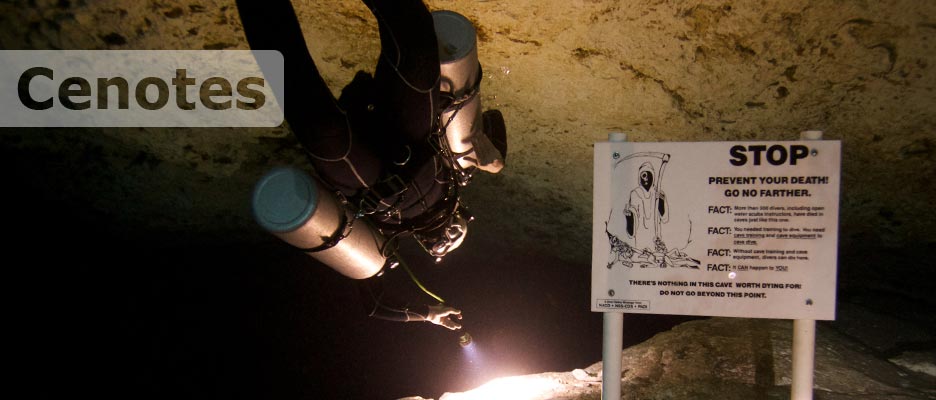 diving cenotes with deep deep down