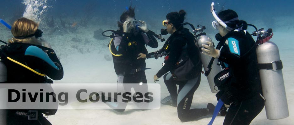 diving courses with deep deep down