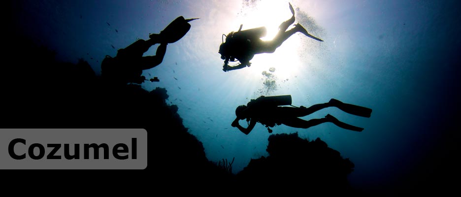 diving cozumel with deep deep down