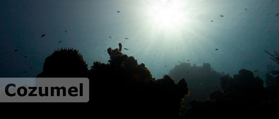 diving cozumel with deep deep down