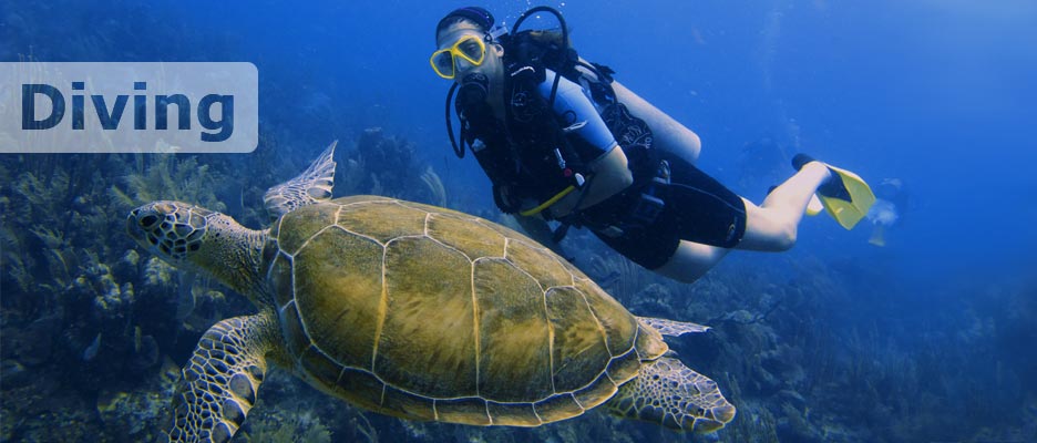 diving with deep deep down