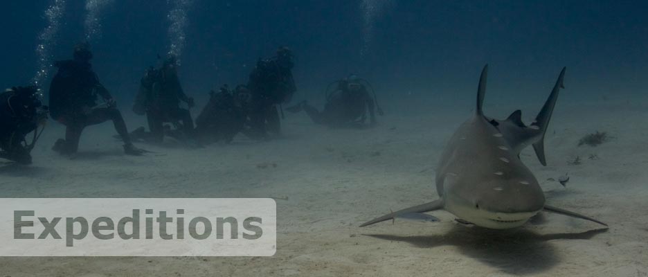 diving expeditions with deep deep down