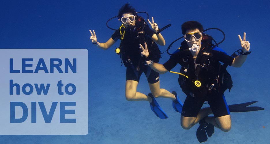 learn how to dive with deep deep down