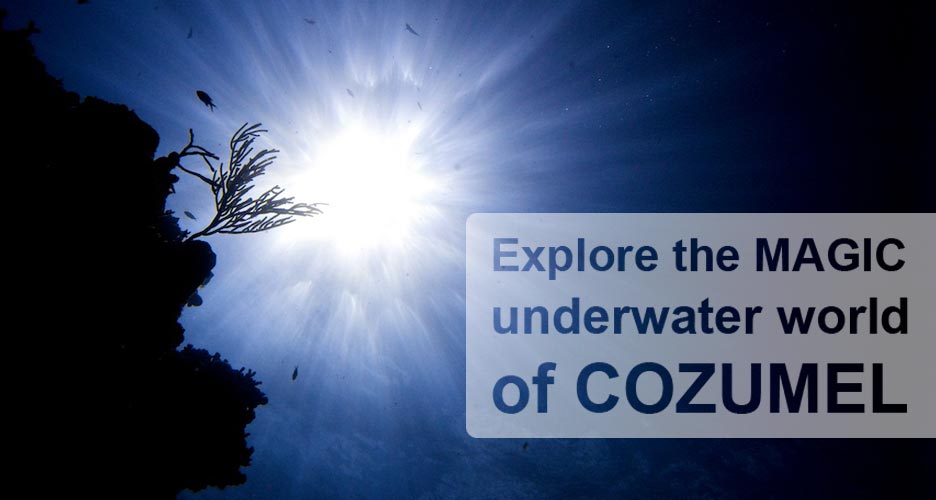 dive cozumel with deep deep down