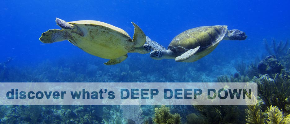 diving with deep deep down