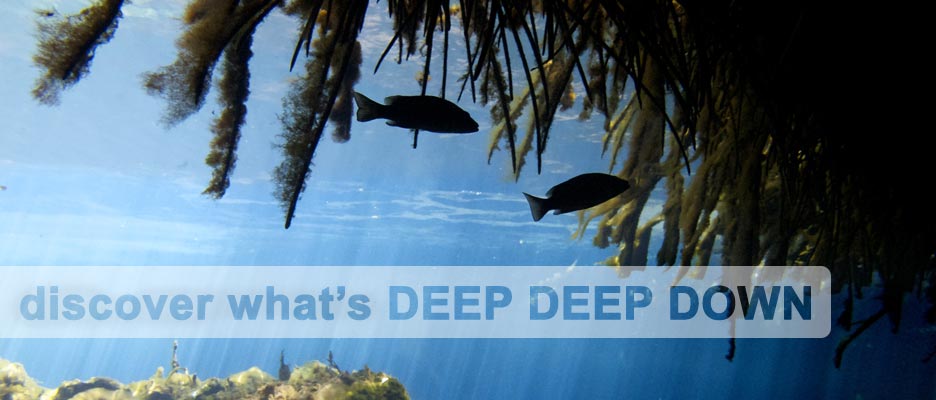 diving with deep deep down