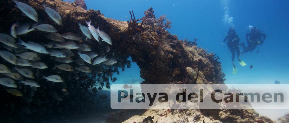 Diving Playa del Carmen with Deep Deep Down